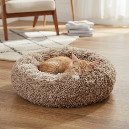 Cama Peludita 45 X 18 cm