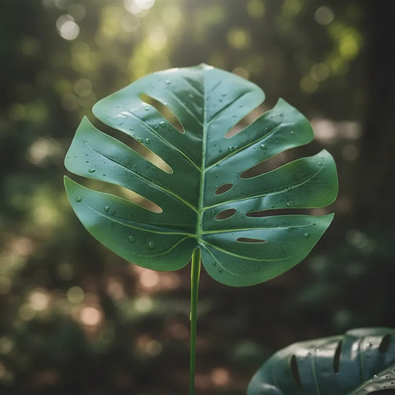 Planta Esqueleto De Caballo 1 Metro Con 18 Hojas Decoración Verde