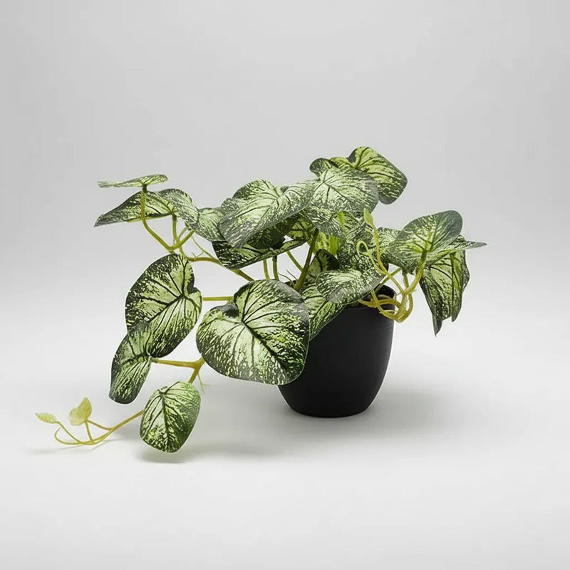 Planta Artificial Dieffenbachia Enredadera En Maceta 23cm