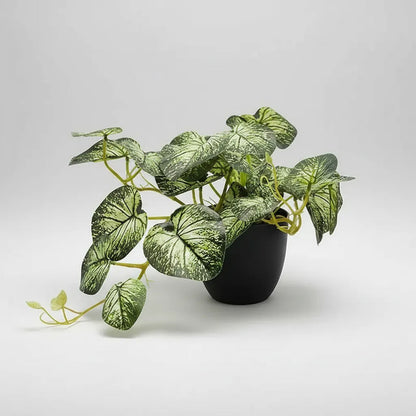 Planta Artificial Dieffenbachia Enredadera En Maceta 23cm