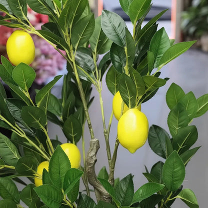 Árbol Limonero
