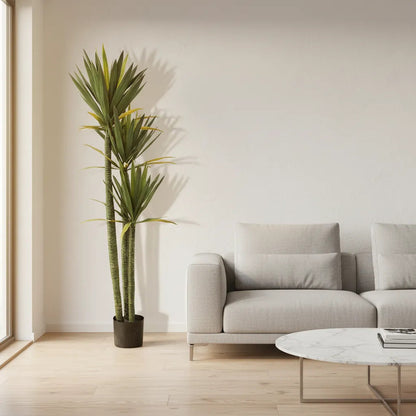 Planta Yucca 1,60m