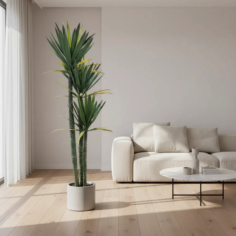 Planta Yucca 1,60m