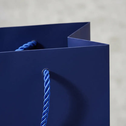 Bolsa De Regalo Lisa Azul