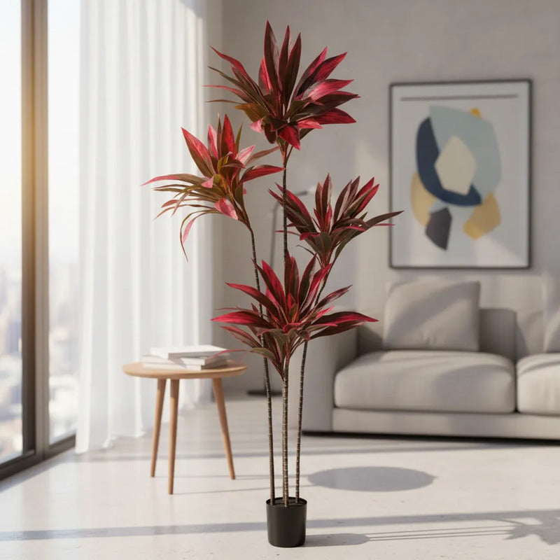 Planta Drácena Roja Tropical 165 cm