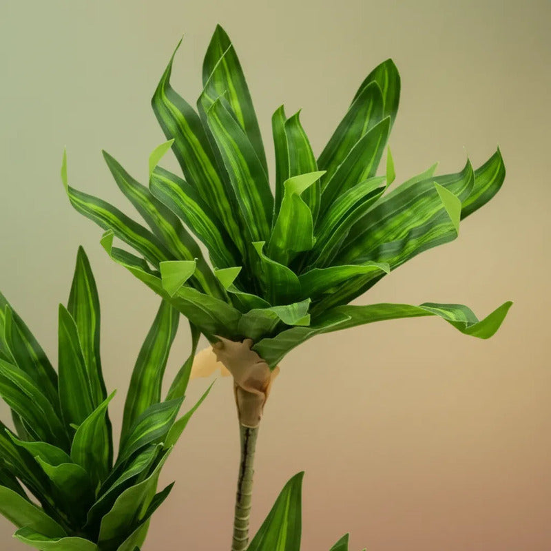 Planta Artificial Drácena 60 cm