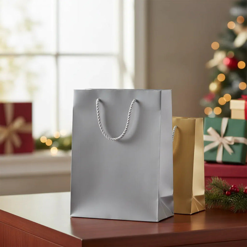 Bolsa De Regalo Lisa Plateado