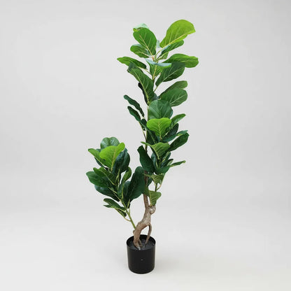 Planta Fikus 1.25m - 48 Hojas