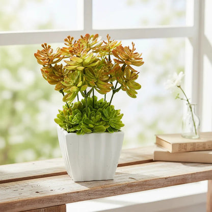 Planta Artificial Sedum En Maceta