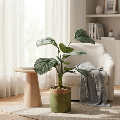 Planta Gomero Mediana 46cm