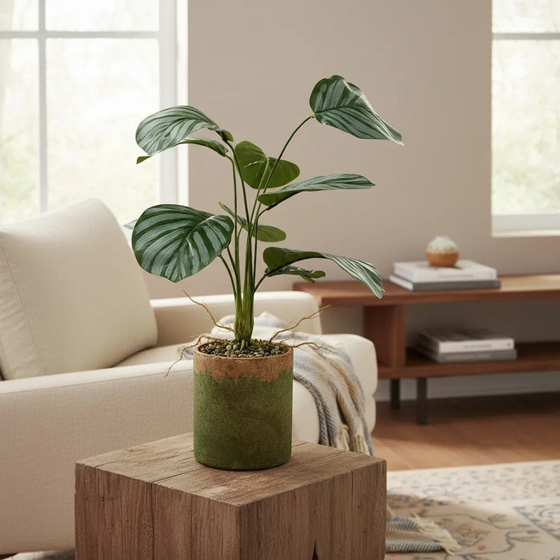 Planta Artificial Gomero Mediana