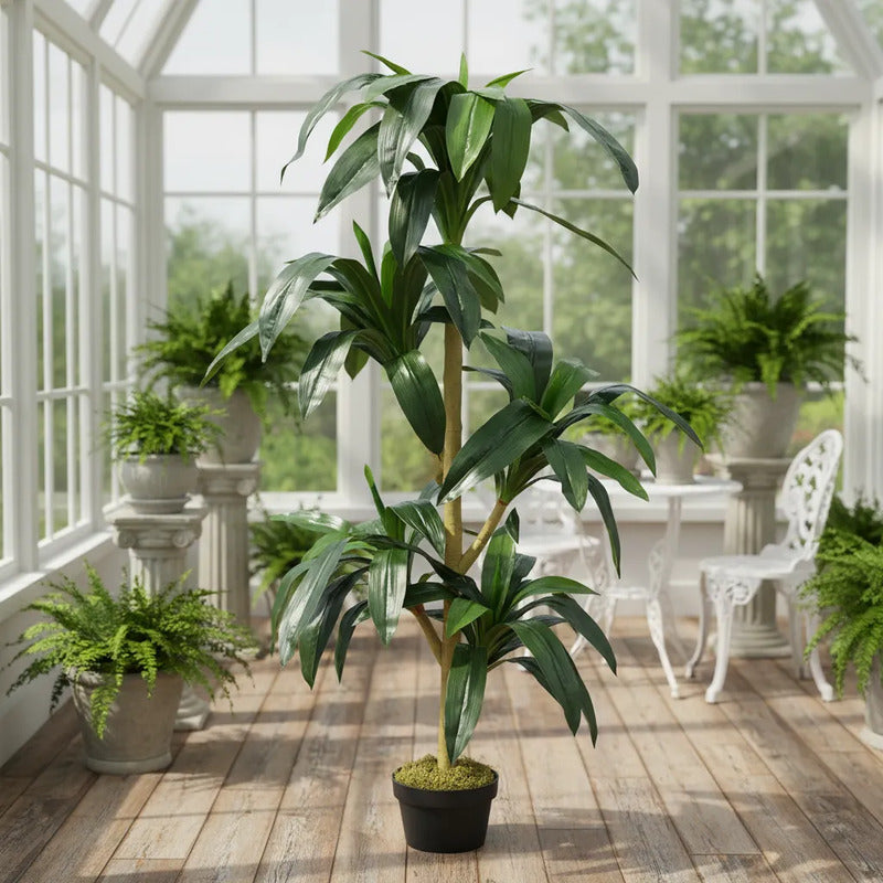 Planta Palo De Agua 140cm