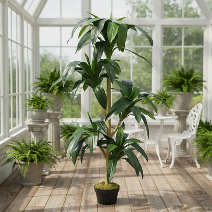 Planta Palo De Agua 140cm