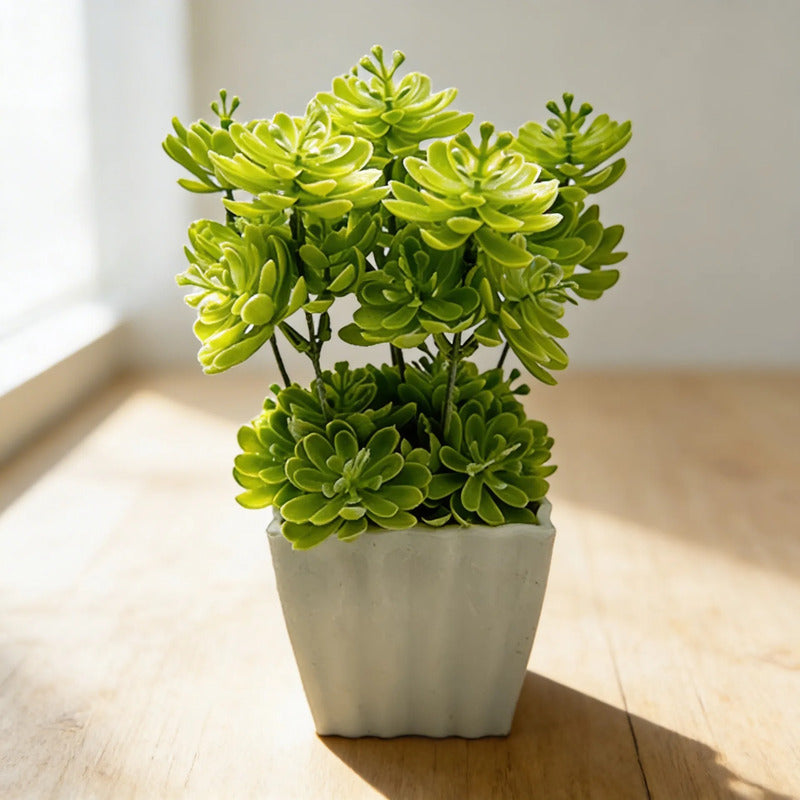 Planta Artificial Sedum En Maceta