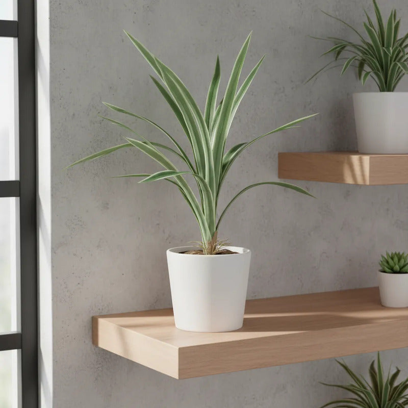 Planta Artificial Tallo De 15 Brotes