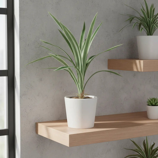 Planta Artificial Tallo De 15 Brotes