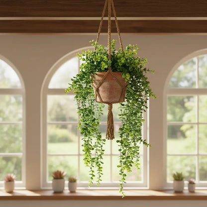Planta Colgante Eucalipto 80 cm