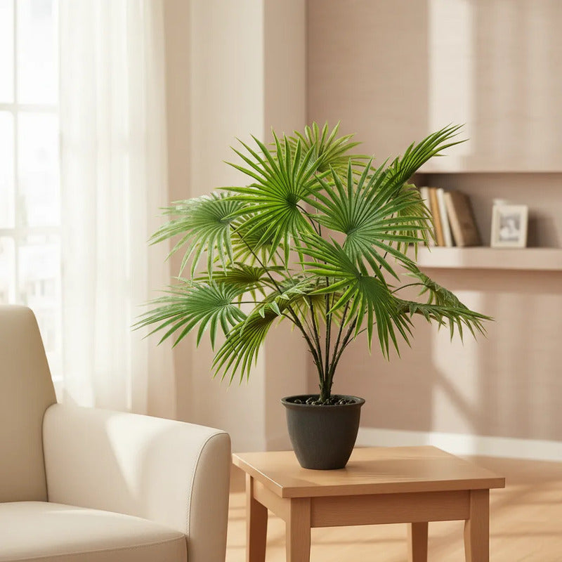 Planta Palma Cocotero X15 - 65cm