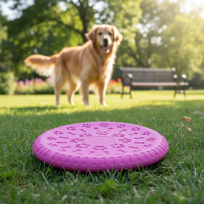 Frisbee Para Mascotas De Silicona 19 cm