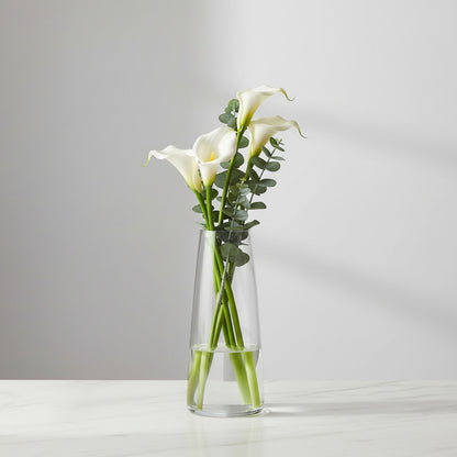 Florero De Vidrio 22 X 7,5 cm