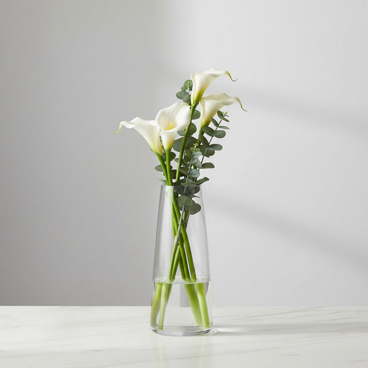 Florero De Vidrio 22 X 7,5 cm