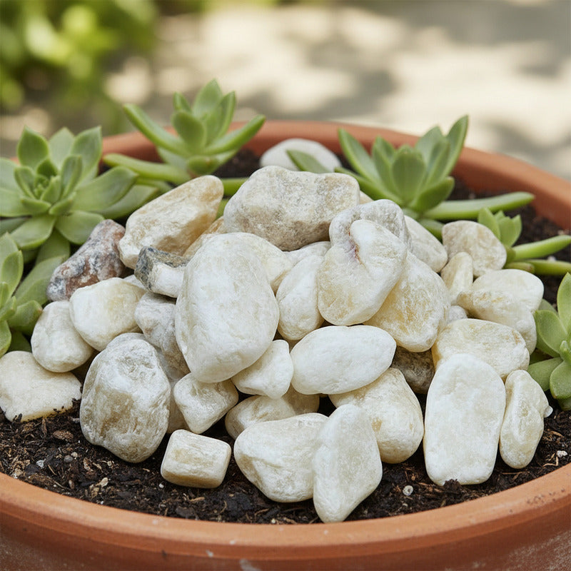 Bolsa De Piedras Rústicas 350g