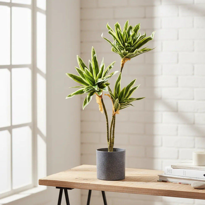 Planta Artificial Drácena 60 cm