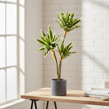 Planta Artificial Drácena 60 cm