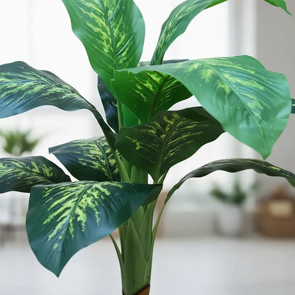 Planta Dieffenbachia 1 Metro - 12 Hojas