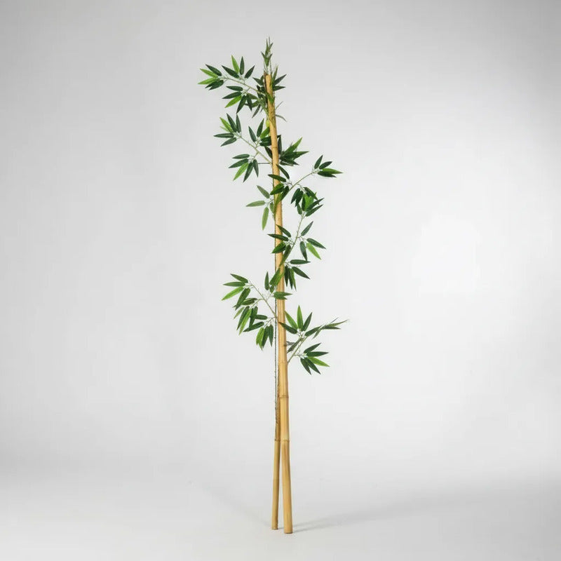 Caña Bamboo con Hojas Artificiales