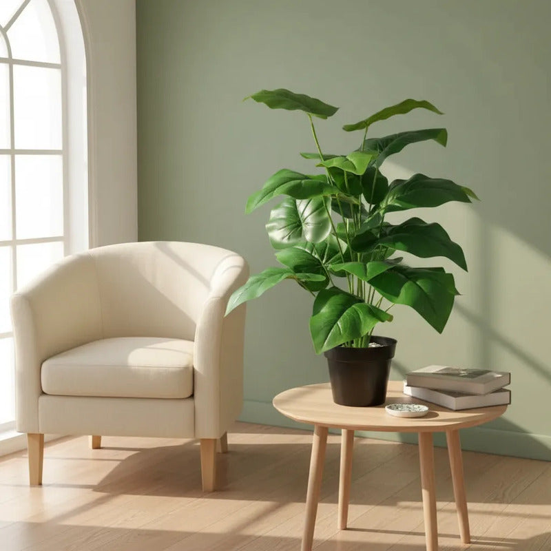 Planta Alocasia 77 cm