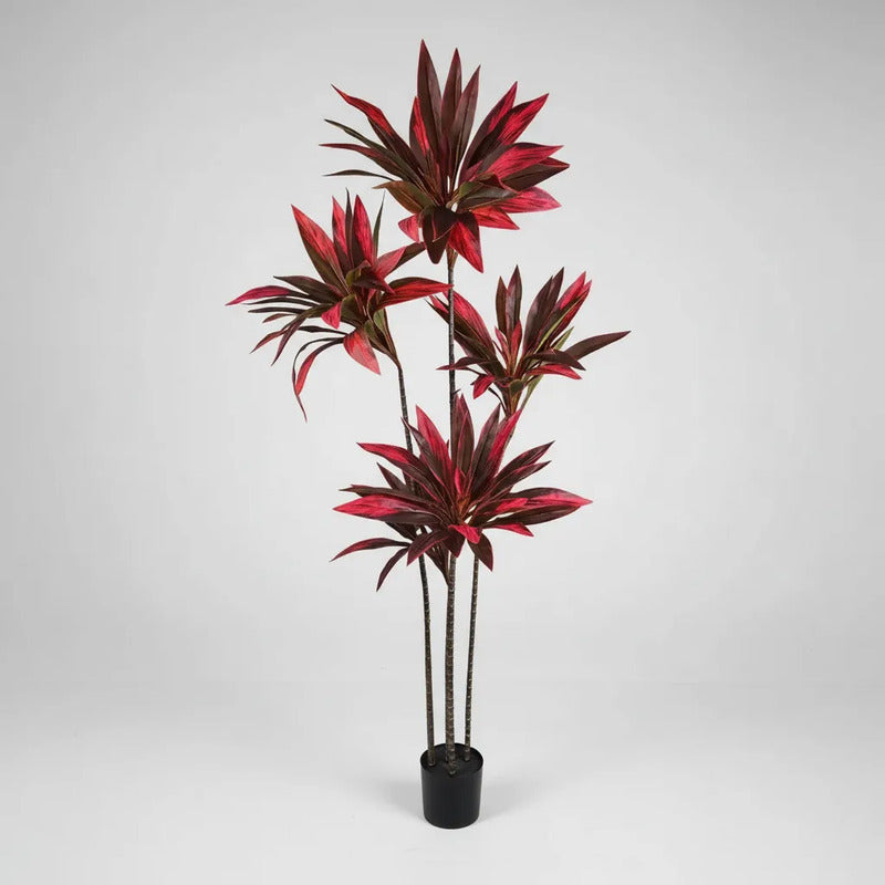 Planta Drácena Roja Tropical 165 cm