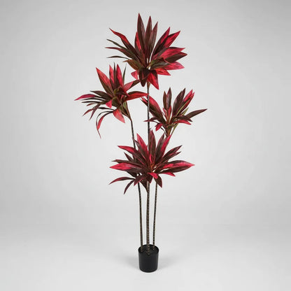 Planta Drácena Roja Tropical 165 cm