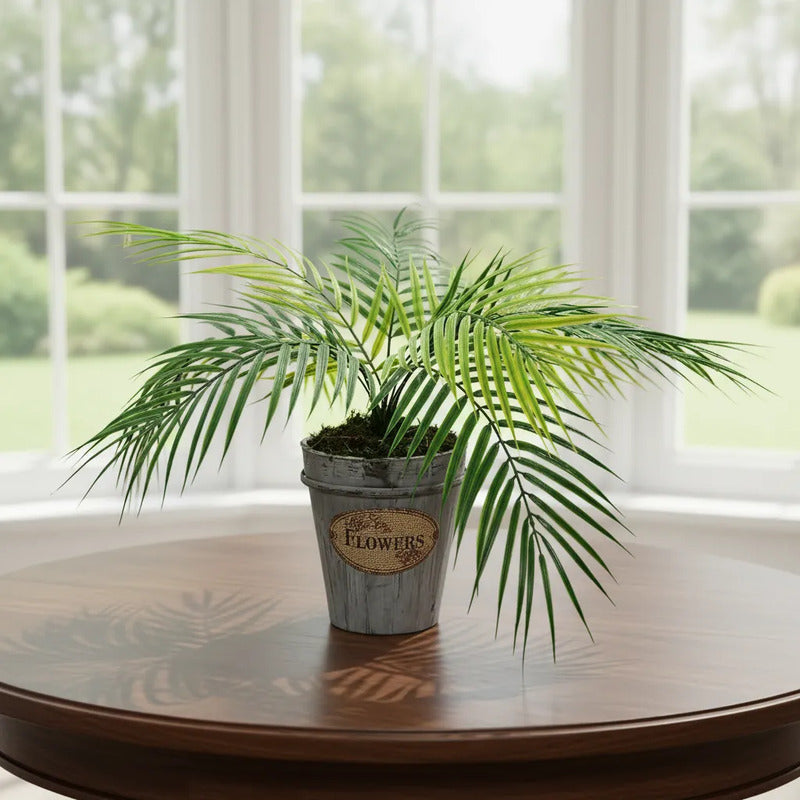 Planta Palma 60cm Contiene 9 Hojas