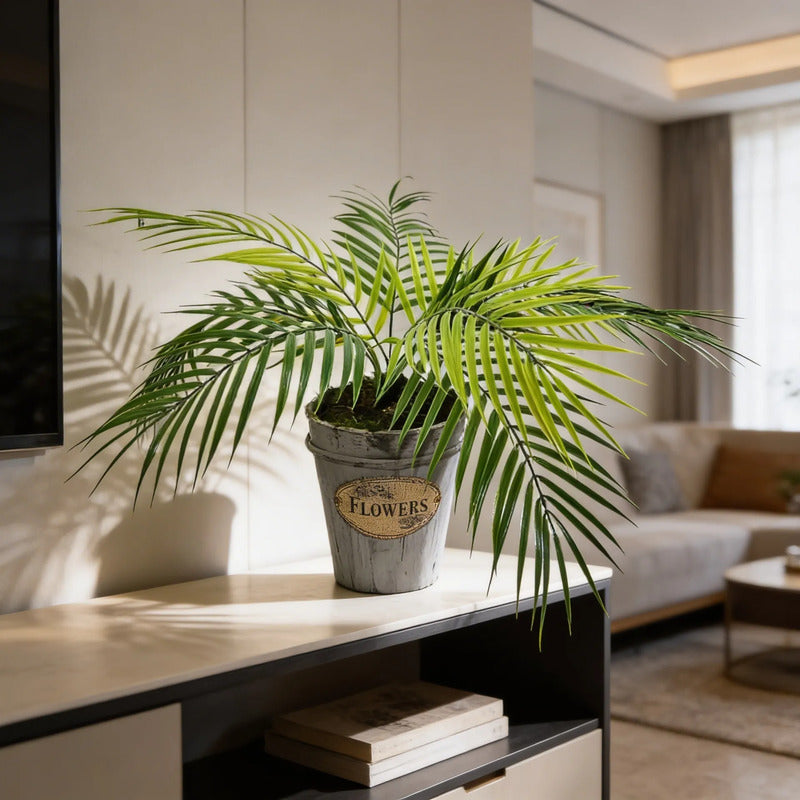 Planta Palma 60cm Contiene 9 Hojas