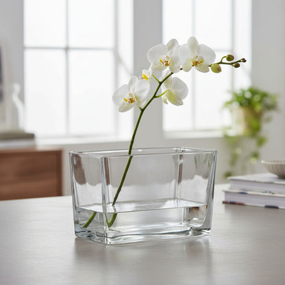 Florero De Vidrio Rectangular 10 X 20 cm