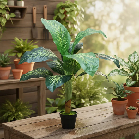 Planta Dieffenbachia 1 Metro - 12 Hojas