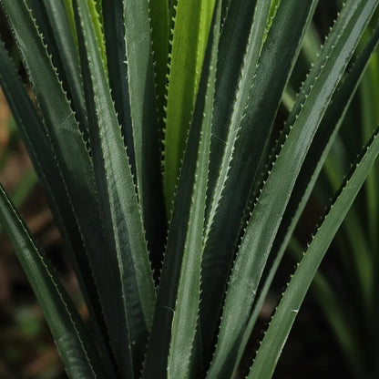 Planta Artificial De Agave Alta 1,20 mts