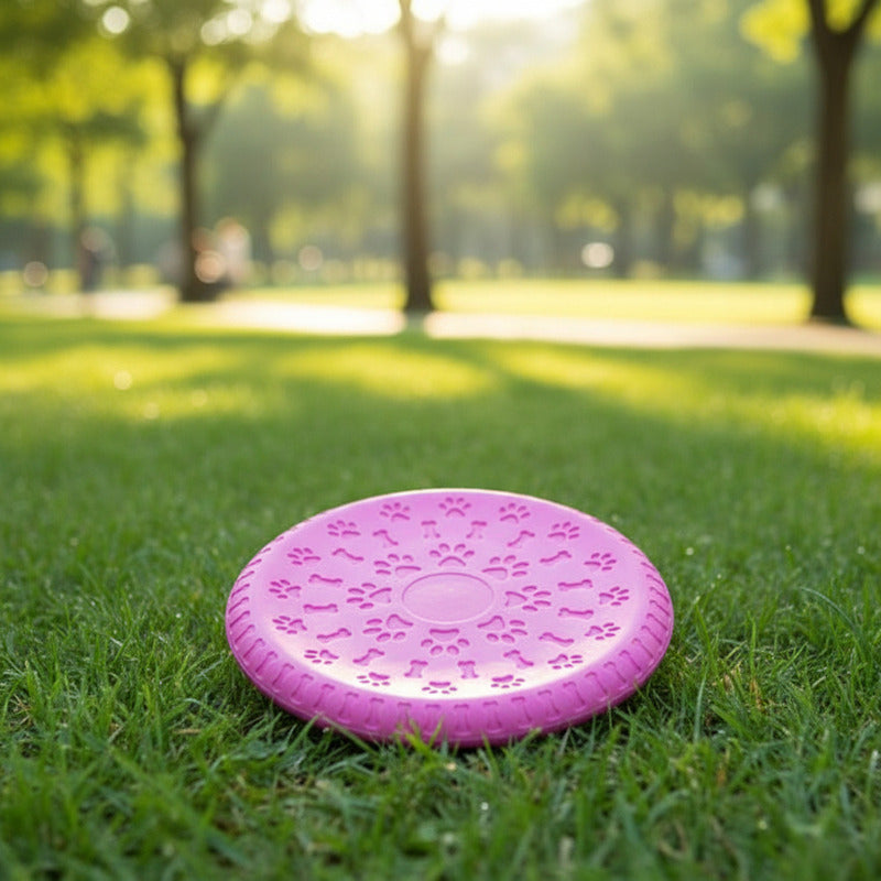 Frisbee Para Mascotas De Silicona 19 cm