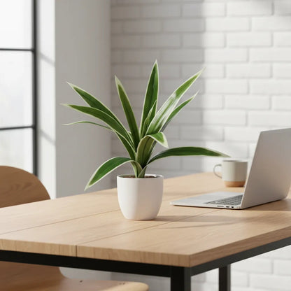 Planta Tallo Artificial De 9 Brotes