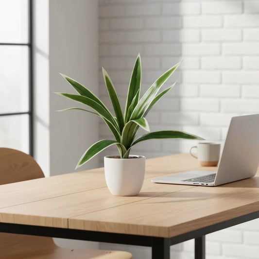 Planta Tallo Artificial De 9 Brotes