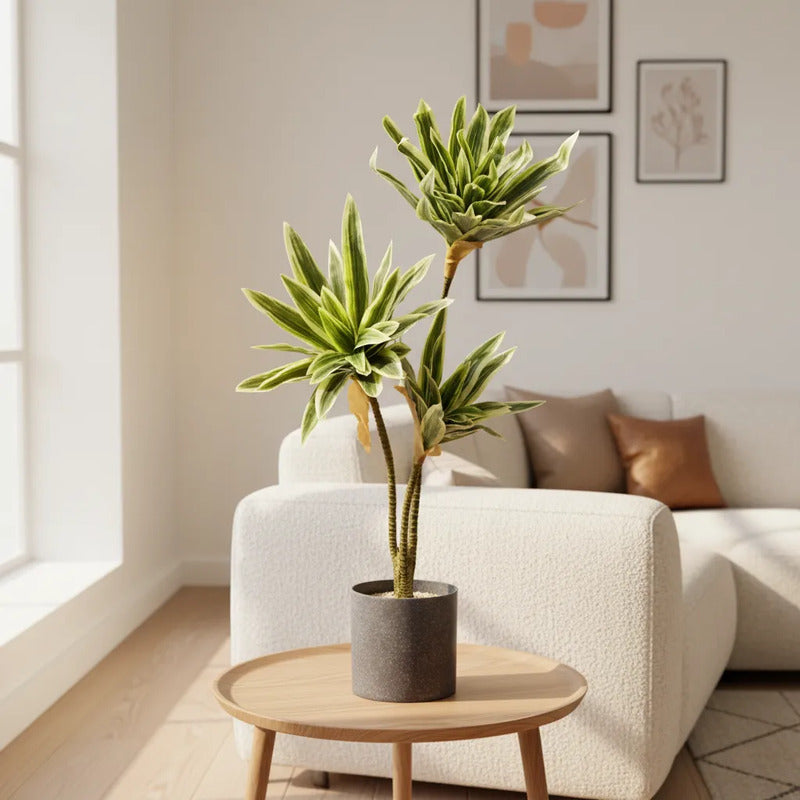 Planta Artificial Drácena 60 cm