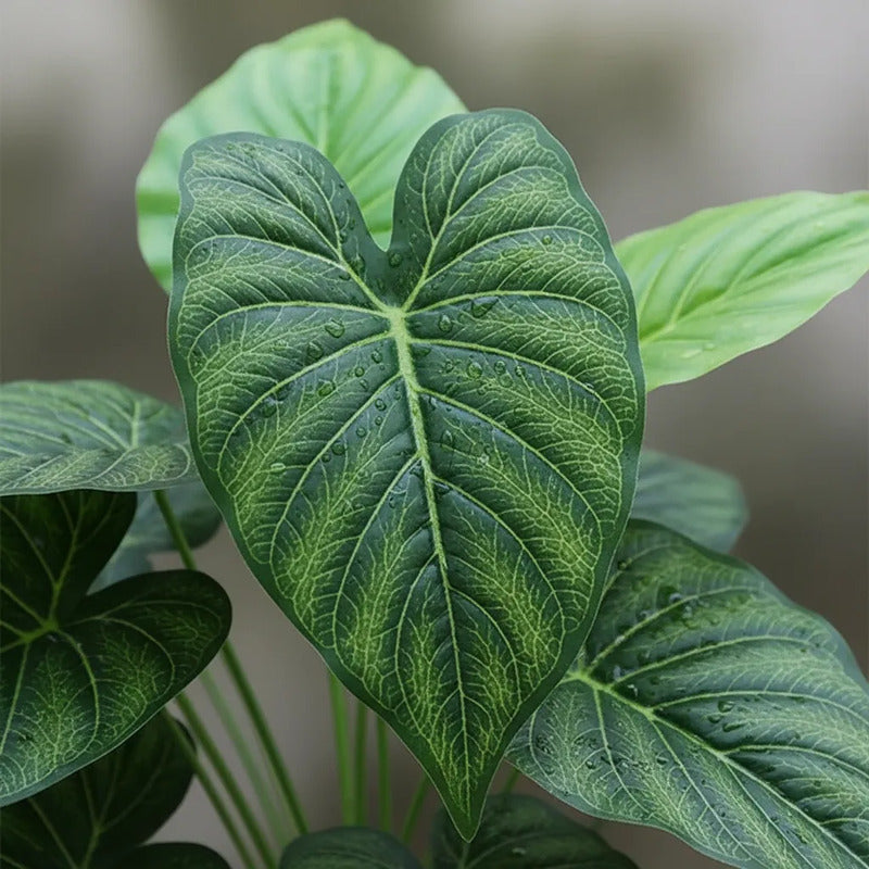 Planta Alocasia 75cm - 24 Hojas