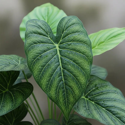 Planta Alocasia 75cm - 24 Hojas
