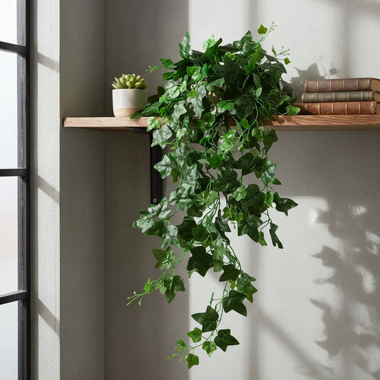 Planta Colgante 103cm