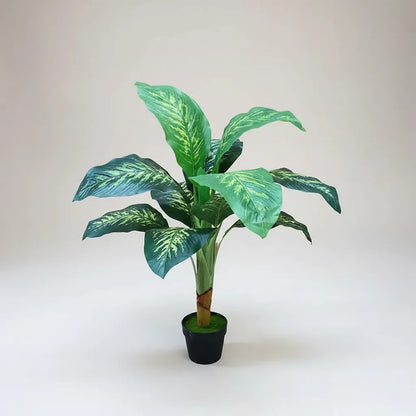 Planta Dieffenbachia 1 Metro - 12 Hojas