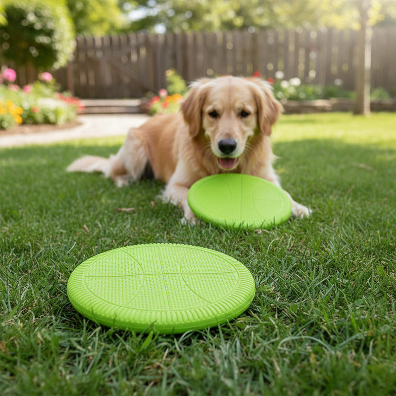 Frisbee Para Mascotas De Silicona 19 cm