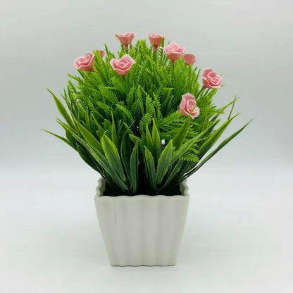 Planta Rosita Con Pasto En Maceta