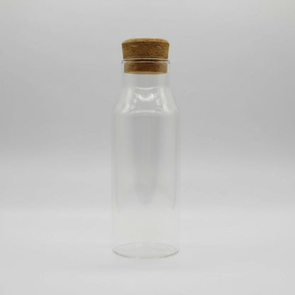 Botella De Vidrio Con Tapa De Corcho 28 X 9 cm