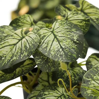 Planta Artificial Dieffenbachia Enredadera En Maceta 23cm